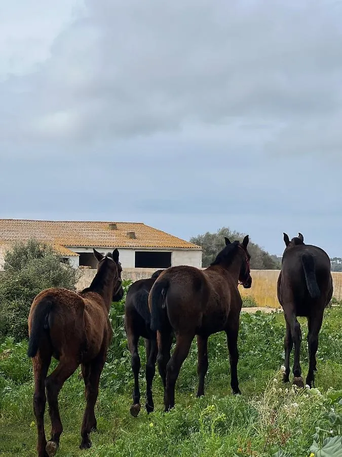 Islanders Menorca Country Club Villa Son Carrio