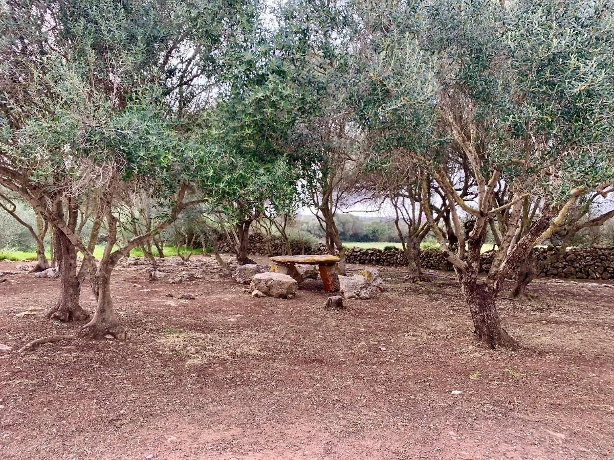 Islanders Menorca Country Club Villa Son Carrio