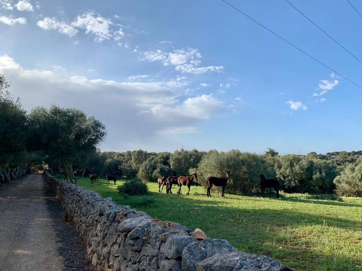 Islanders Menorca Country Club Villa Son Carrio   Son Carrio (Menorca)